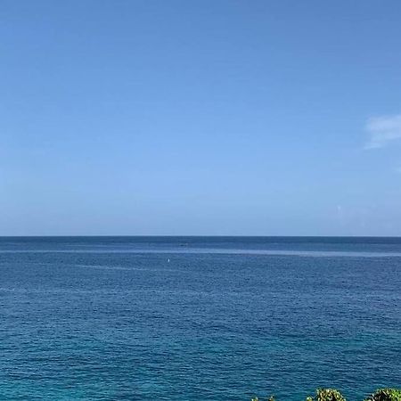 内格里尔Irie Vibes Ocean View别墅 外观 照片